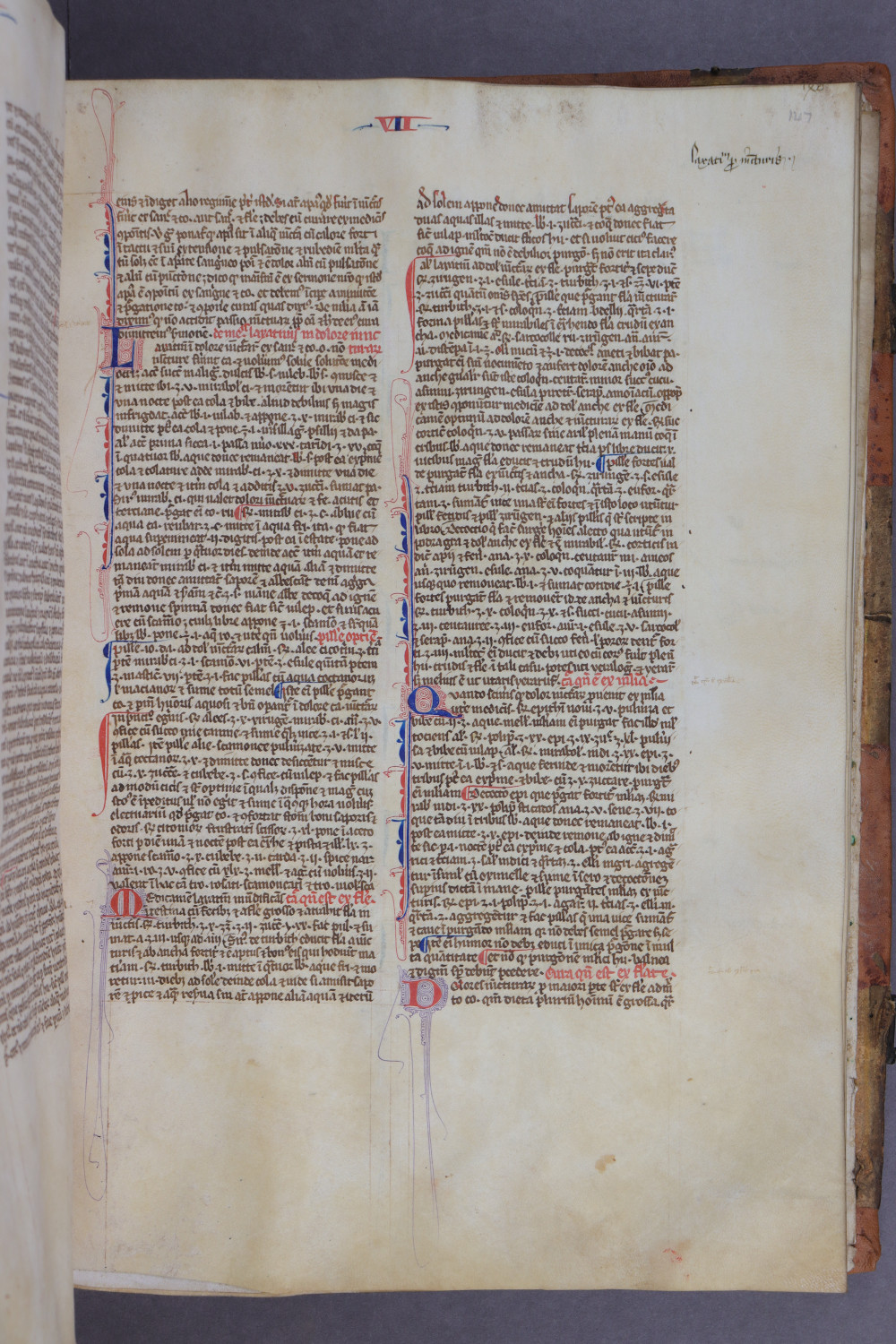 Folio 147 recto